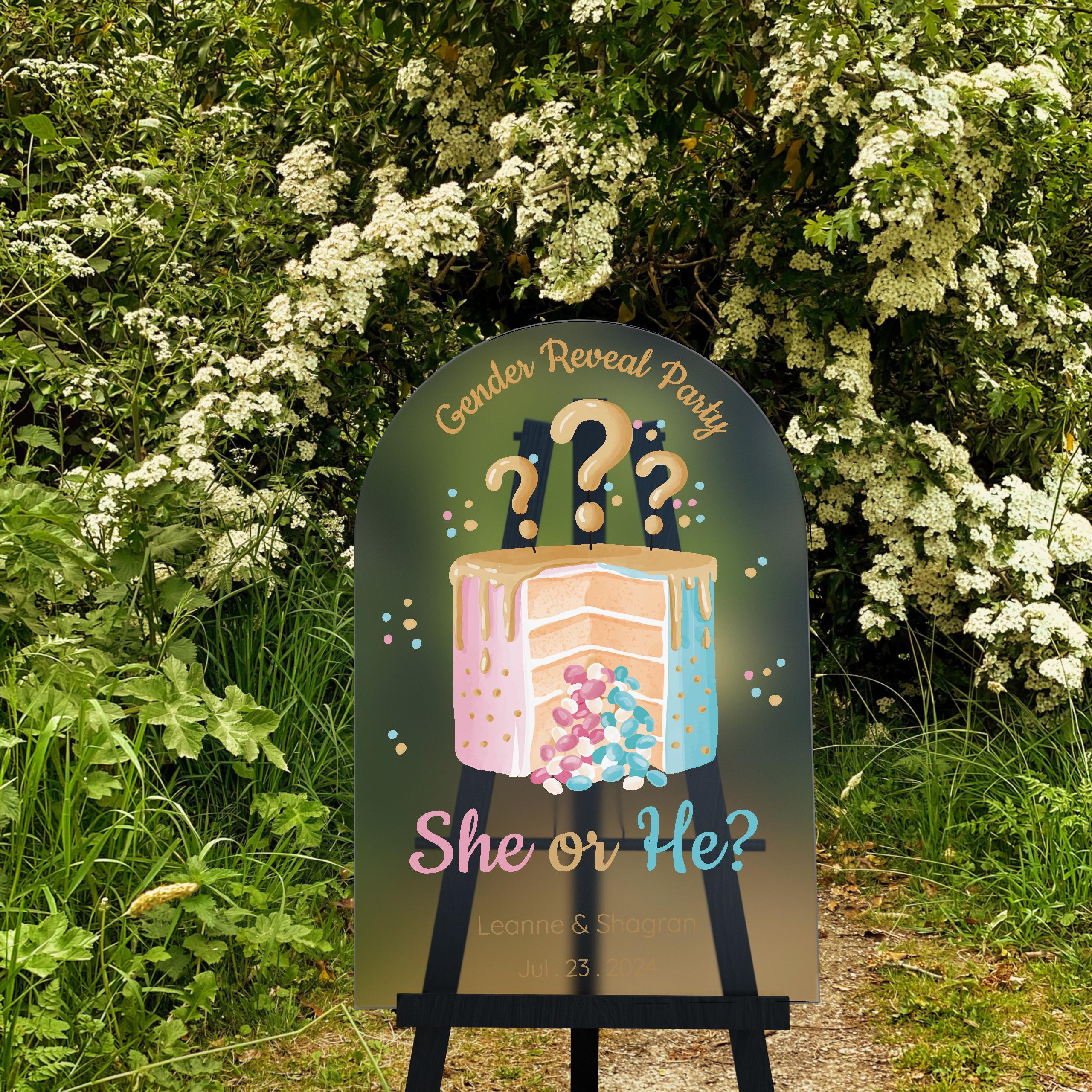 Acrylic Gender Reveal Welcome Sign – Personalized Gender Reveal Sign