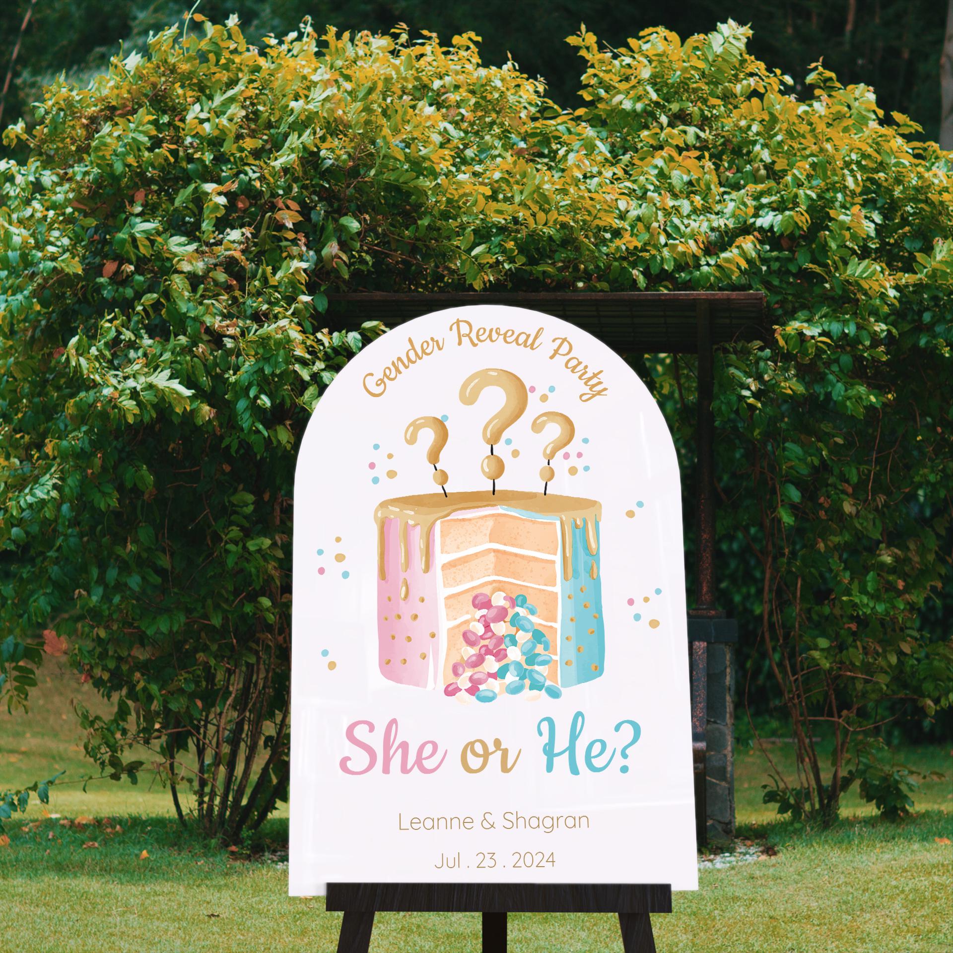 Acrylic Gender Reveal Welcome Sign – Personalized Gender Reveal Sign