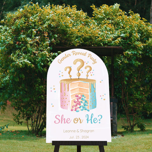 Acrylic Gender Reveal Welcome Sign – Personalized Gender Reveal Sign